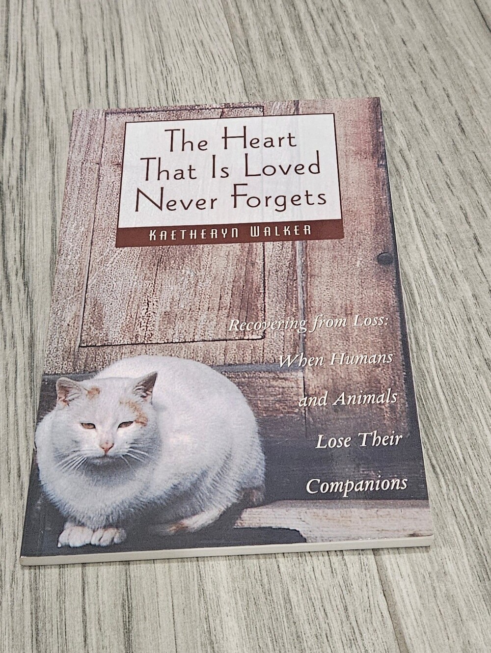 The Heart That Is Loved Never Forgets: Recovering from Loss Book
